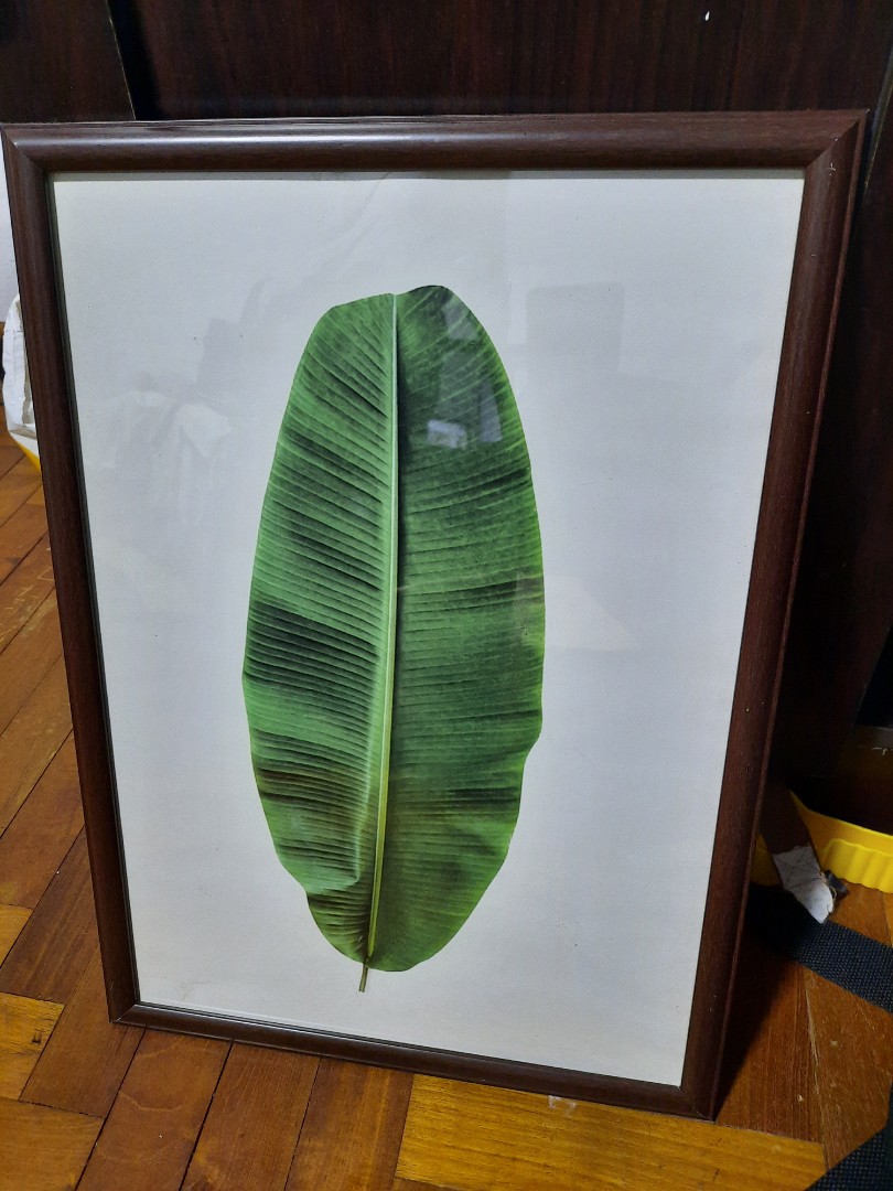 1 pcs a3 Daiso frame, Furniture & Home Living, Home Decor, Frames