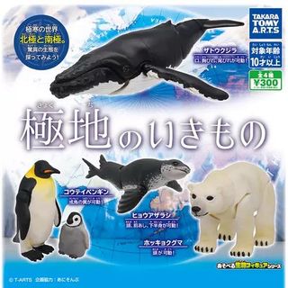 （分類：）位於 。 由 kikochann 提交（商品編號 1142630930，圖片 1）。簡介： 。