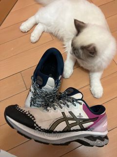 （分類：）位於 。 由 morris.kong 提交（商品編號 1142648079，圖片 1）。簡介： 。