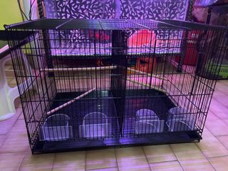 (Category: ) located in . Submitted by shanacorner (Listing ID 1142637232, Image 1). Description: .