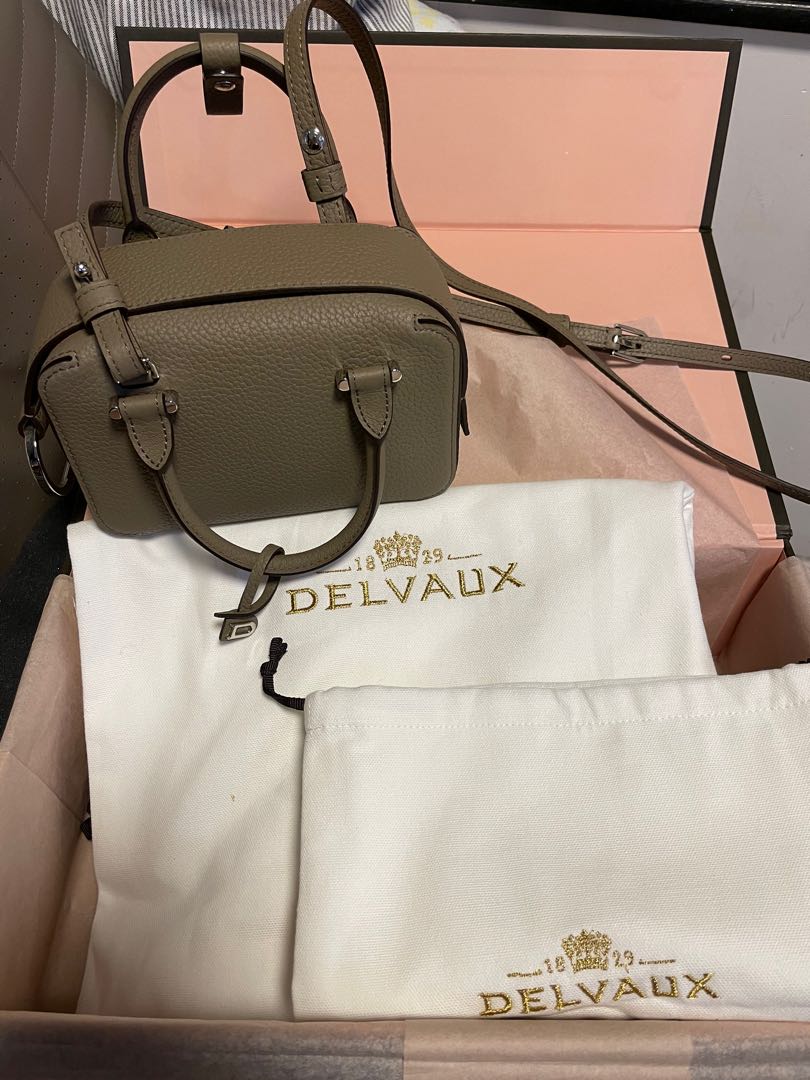 Should I get the Delvaux Cool Box Nano? : r/handbags