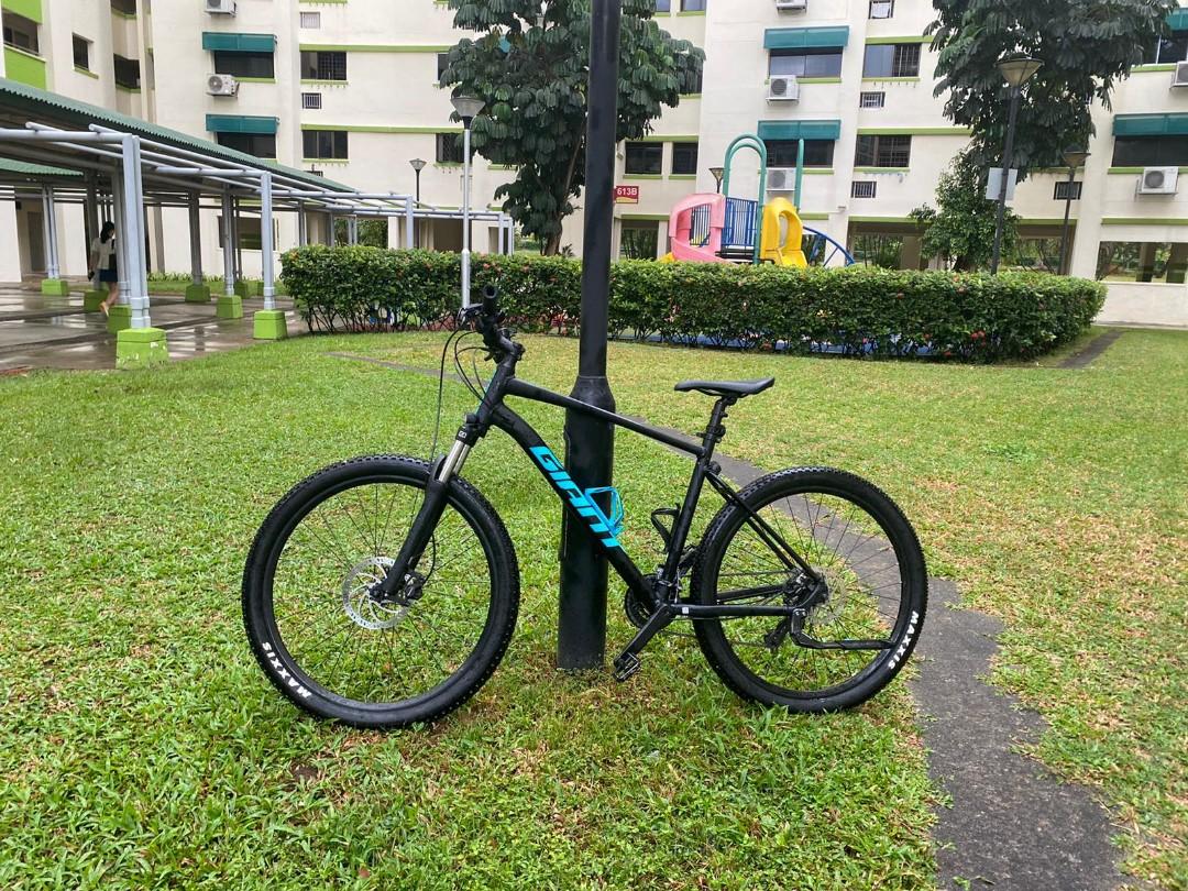 Giant Talon 3 (L size), Sports 