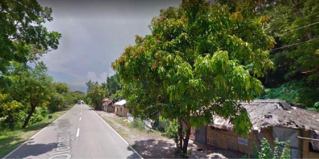 Lot for Sale Infanta Pangasinan 14 Hectares, Property, For Sale, Lot on