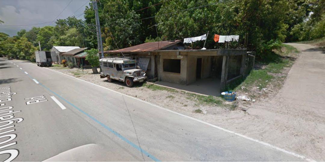 Lot for Sale Infanta Pangasinan 14 Hectares, Property, For Sale, Lot on