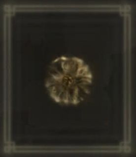 （分類：）位於 。 由 d412h81 提交（商品編號 1146440206，圖片 1）。簡介： 。