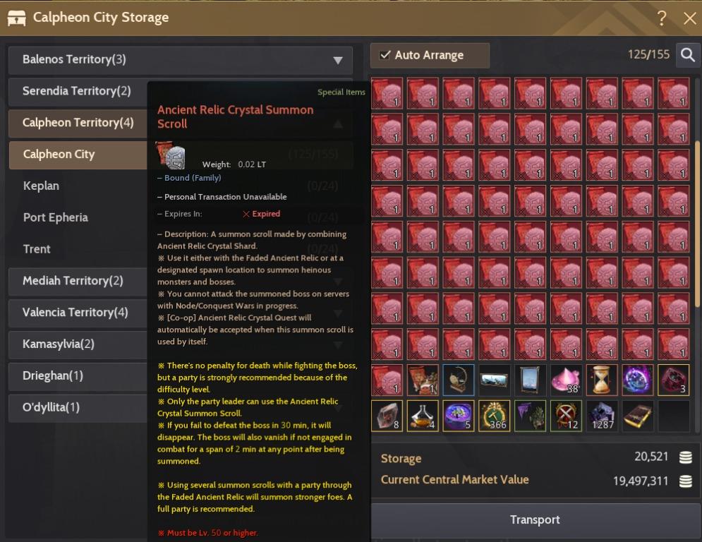 Black Desert Online Guardian Tagged Warrior, Video Gaming, Video Games