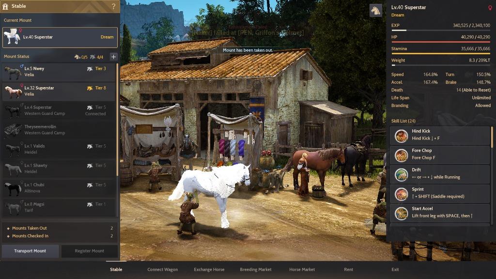 Black Desert Online Guardian Tagged Warrior, Video Gaming, Video Games