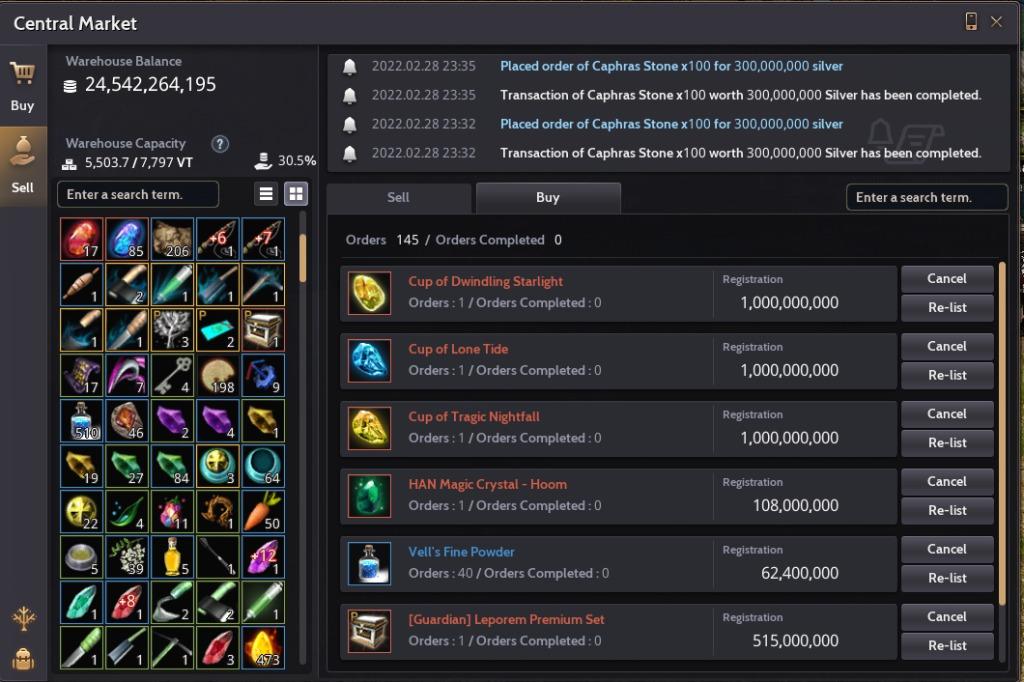 Black Desert Online Guardian Tagged Warrior, Video Gaming, Video Games