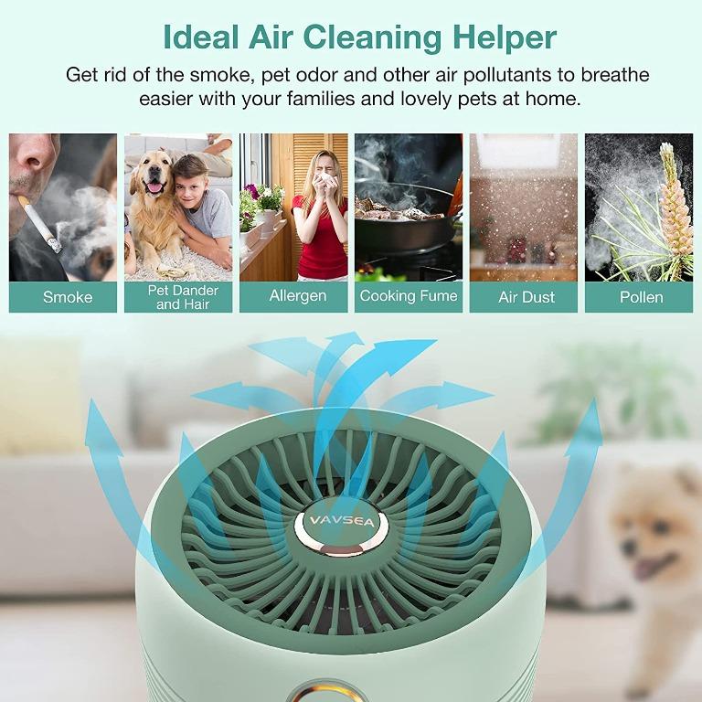 Pollen fan outlet