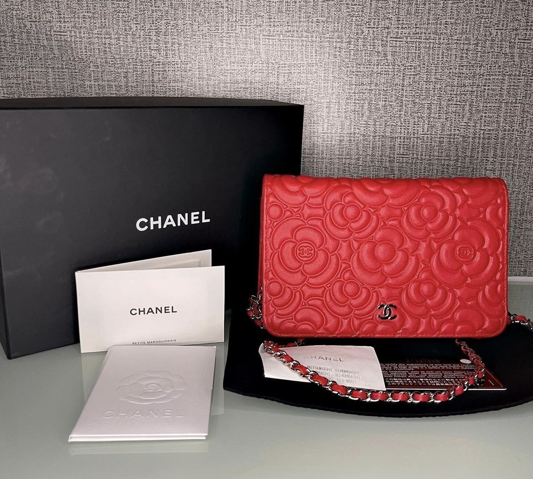Chanel Wallet On Chain Red in Silver HW, Luxury, Bags & Wallets on