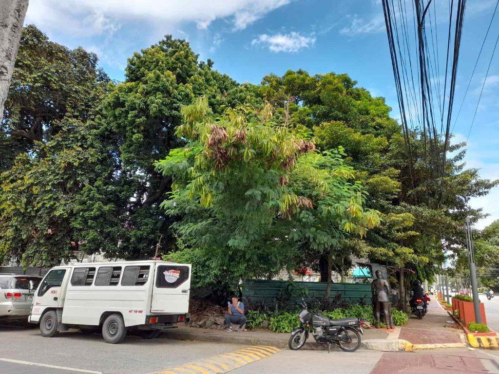 COMMERCIAL LOT FOR SALE IN SCOUT AREA QUEZON CITY 185.1M 787.7SQM