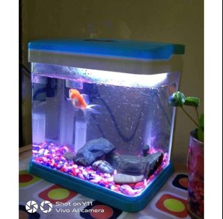 (Category: ) located in . Submitted by pikabecks (Listing ID 1146389653, Image 1). Description: .