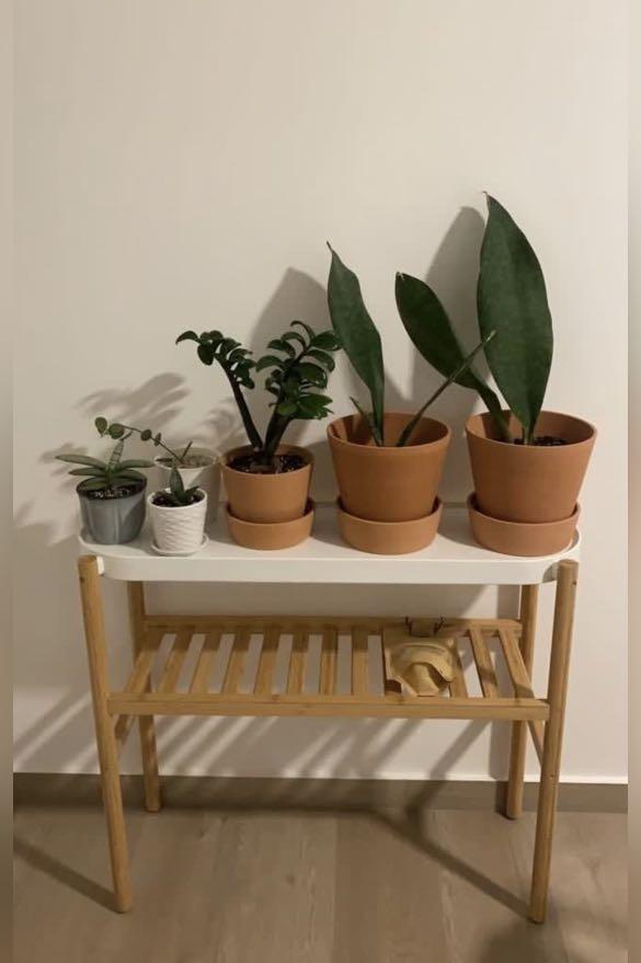 IKEA Plant Stand Shelf SATSUMAS, Furniture & Home Living, Furniture