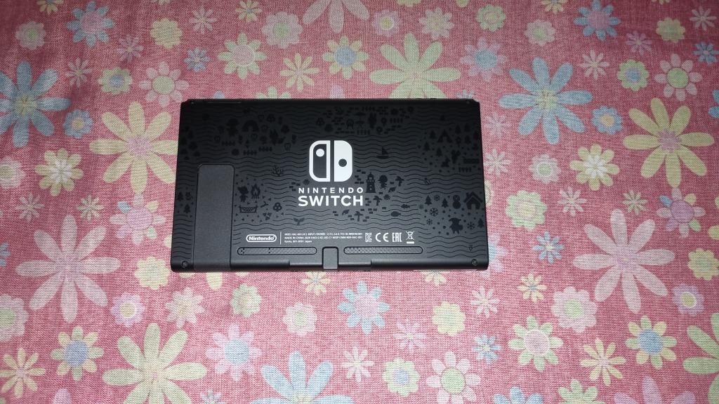 Nintendo Switch V2 ACNL Special Edition, Video Gaming, Video Game ...