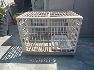 （分類：）位於 。 由 jason.singh 提交（商品編號 1146425741，圖片 1）。簡介： 。