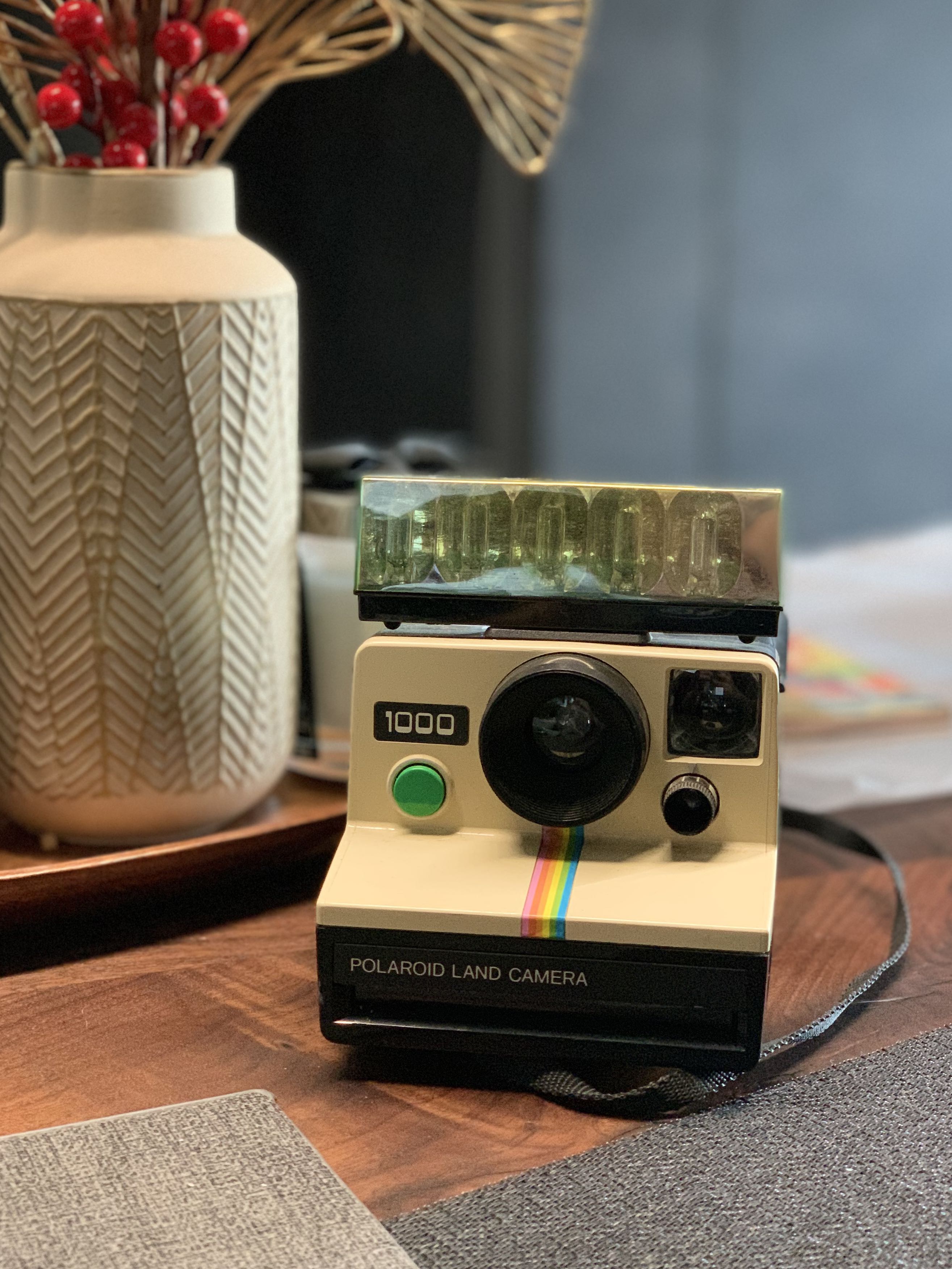 flash land camera 1000