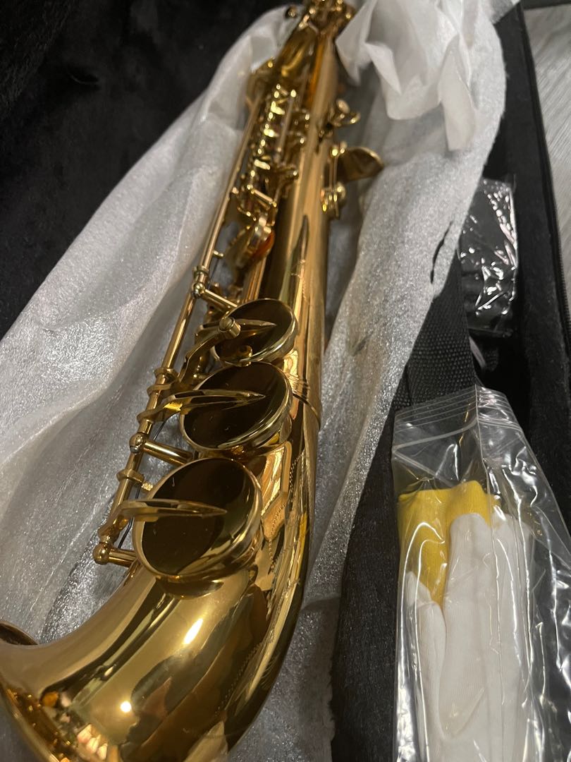 Sexaphone, Hobbies & Toys, Music & Media, Musical Instruments on Carousell