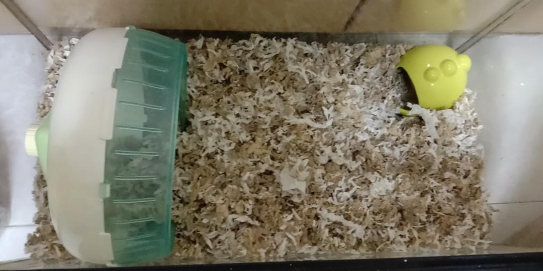 tank(hamsters,fish), Pet Supplies, Homes & Other Pet Accessories on