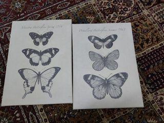 Ikea  Frame Butterflies Summer 1863 & 1864