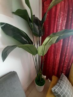 (Category: ) located in . Submitted by anuar_hussin (Listing ID 1148134193, Image 1). Description: .