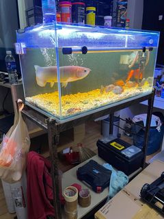 (Category: ) located in . Submitted by purdempot (Listing ID 1148304635, Image 1). Description: .