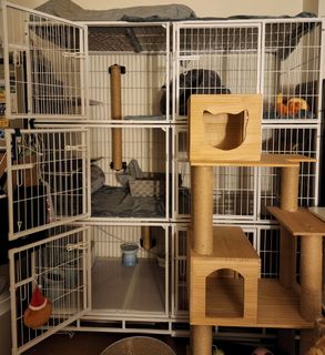 （分類：）位於 。 由 konednarb 提交（商品編號 1148426087，圖片 1）。簡介： 。