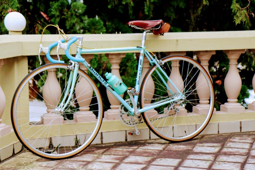 Classic bianchi hotsell