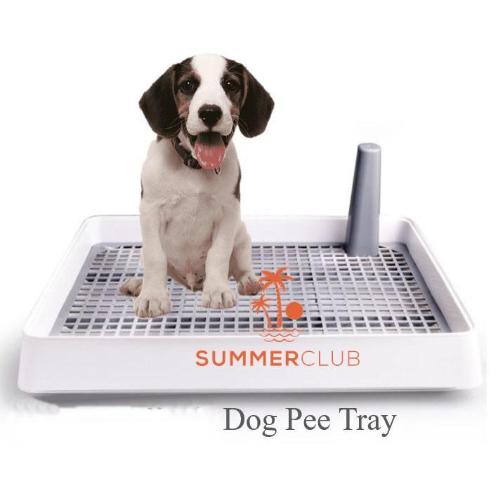 Puppy Pet Potty Training Pee Indoor Toilet Dog Trainer Pad Mat Waterproof S/L 