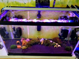 (Category: ) located in . Submitted by jmlacuna100 (Listing ID 1148403106, Image 1). Description: .