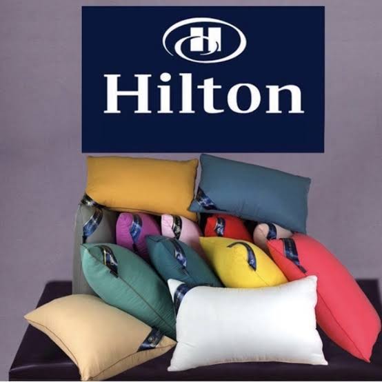 Hilton hotel pillow, Furniture & Home Living, Furniture, Bed Frames