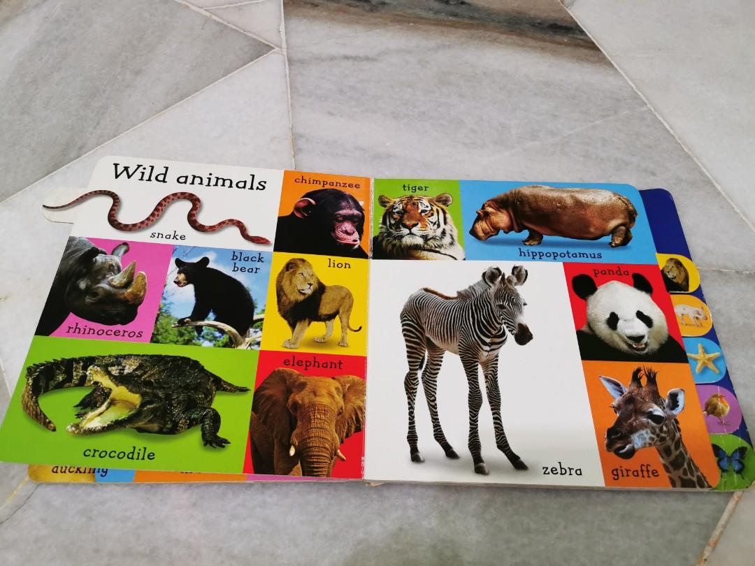 My first book of animals board book, Hobbies & Toys, Books & Magazines,  Children's Books on Carousell