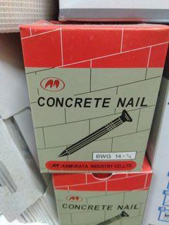 Partner's Channel Concrete Nail