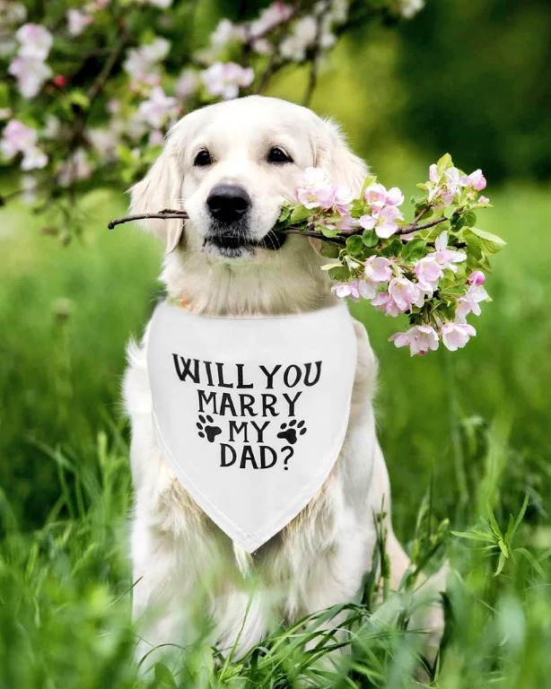 Dog 2025 proposal bandana