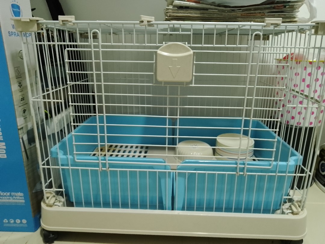 Rabbit Cage (Used), Pet Supplies, Homes & Other Pet Accessories on