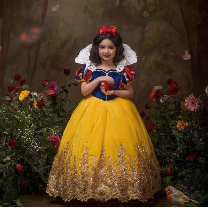 Snow white Costume for all event, Babies & Kids, Babies & Kids Fashion on  Carousell