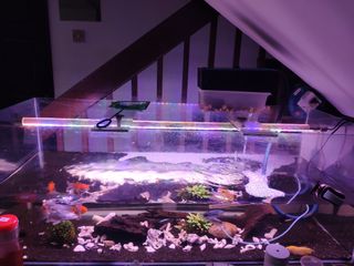 (Category: ) located in . Submitted by bambam92 (Listing ID 1148591672, Image 1). Description: .
