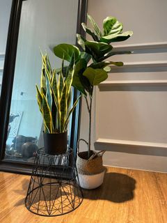 (Category: ) located in . Submitted by ziggyman (Listing ID 1148447359, Image 1). Description: .