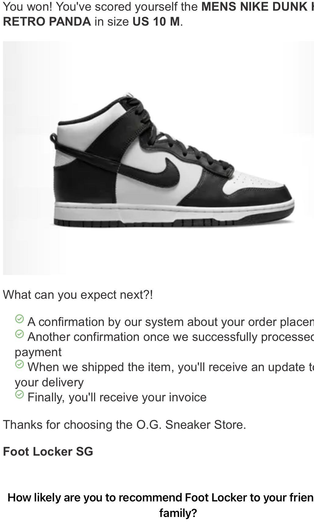 dunk high panda foot locker