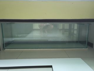 (Category: ) located in . Submitted by stat1045 (Listing ID 1148447649, Image 1). Description: .