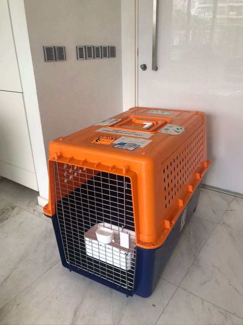 Large Pet airline travel cage crate top of the line, Pet Supplies