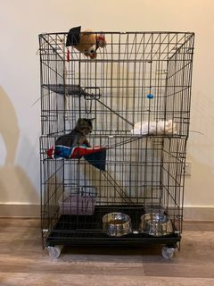 (Category: ) located in . Submitted by orpheussss (Listing ID 1148601951, Image 1). Description: .