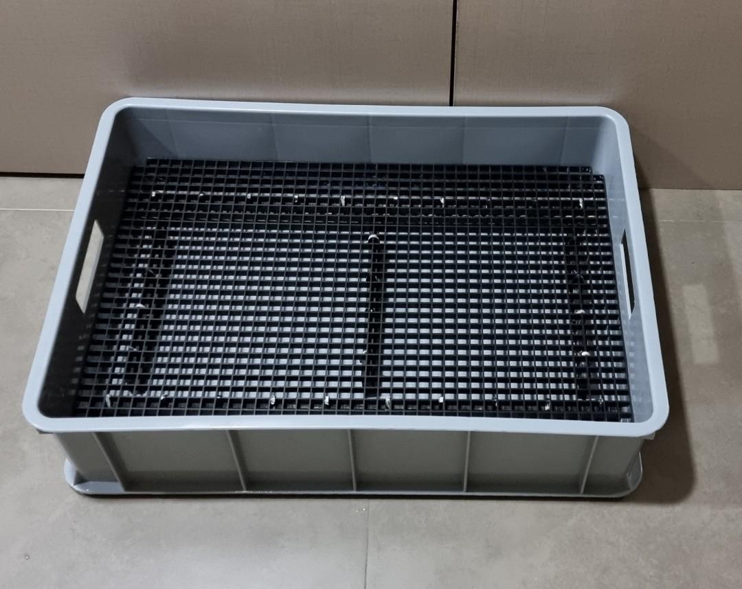 Egg new arrivals litter box