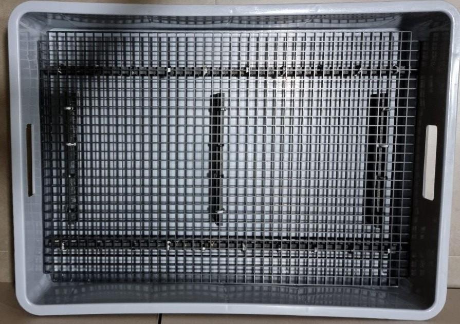 Giant Litter Box for Rabbit Toyogo with Egg Crate