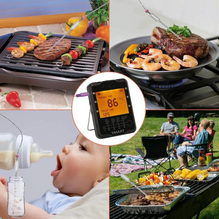 DOQAUS Bluetooth Wireless Meat Thermometer for Grilling, Digital Food  Thermometer with 2 Probes, 197ft Remote Cooking Thermometer with Smart  Kitchen Timer and Backlight for Smoker, Oven, Grill, BBQ 