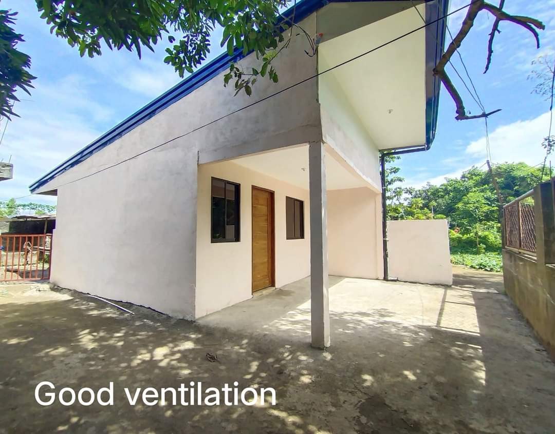 For Rent/Sale House and Lot in Pila, Laguna, Property, For Sale, House