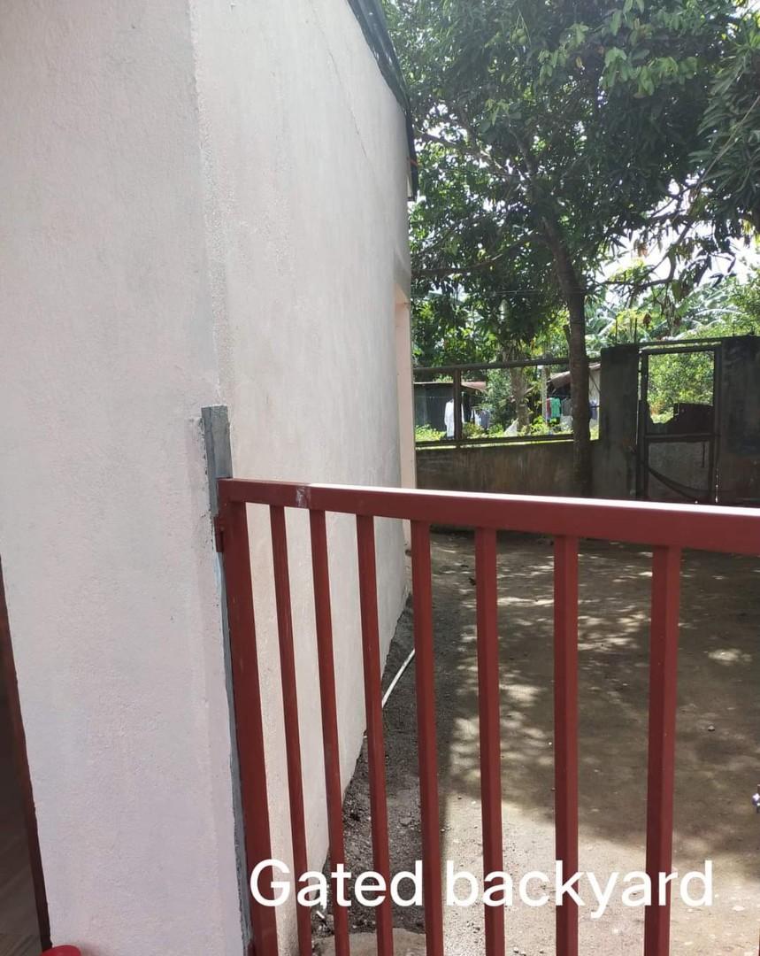 For Rent/Sale House and Lot in Pila, Laguna, Property, For Sale, House