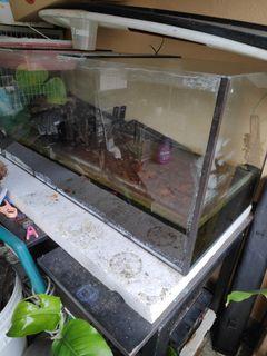 4 ft  aquarium tank