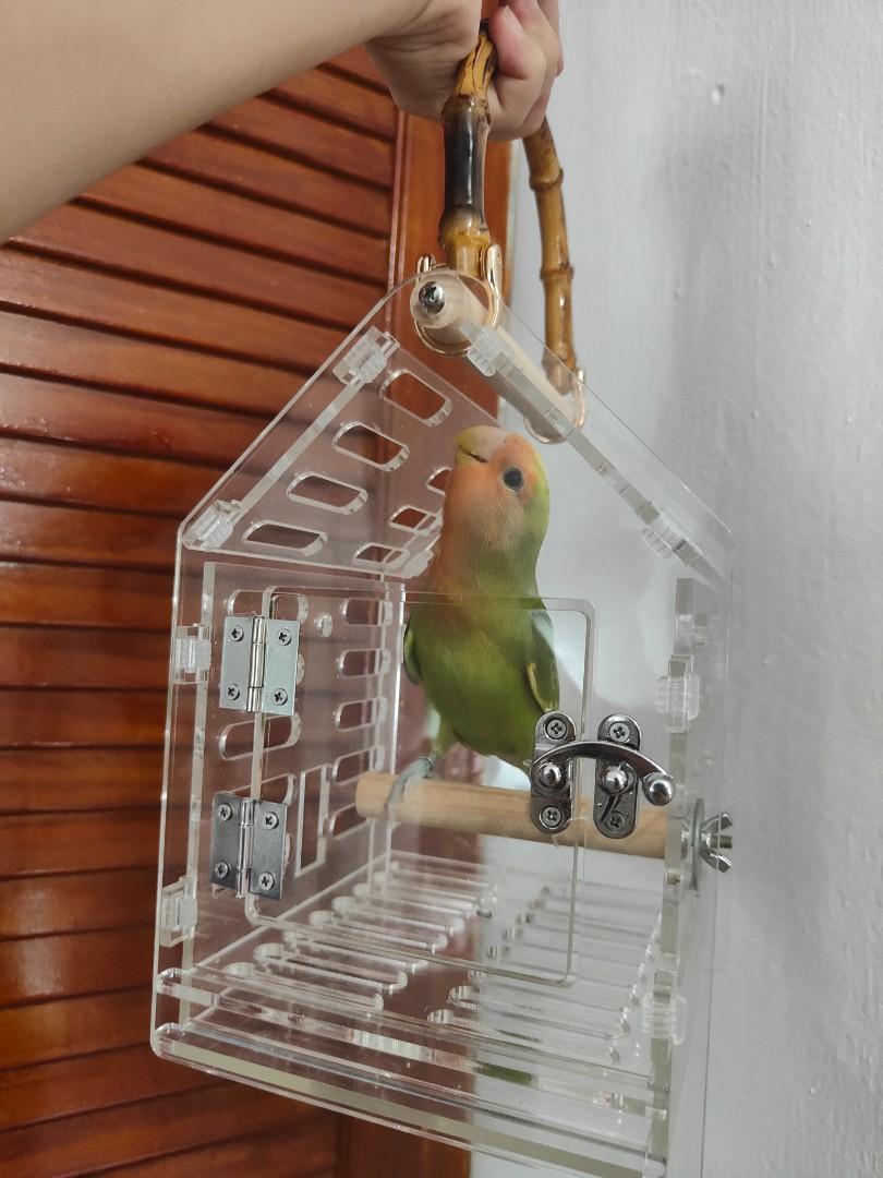 Wingabago bird cheap carrier large