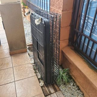 (Category: ) located in . Submitted by harrizuan (Listing ID 1148681316, Image 1). Description: .