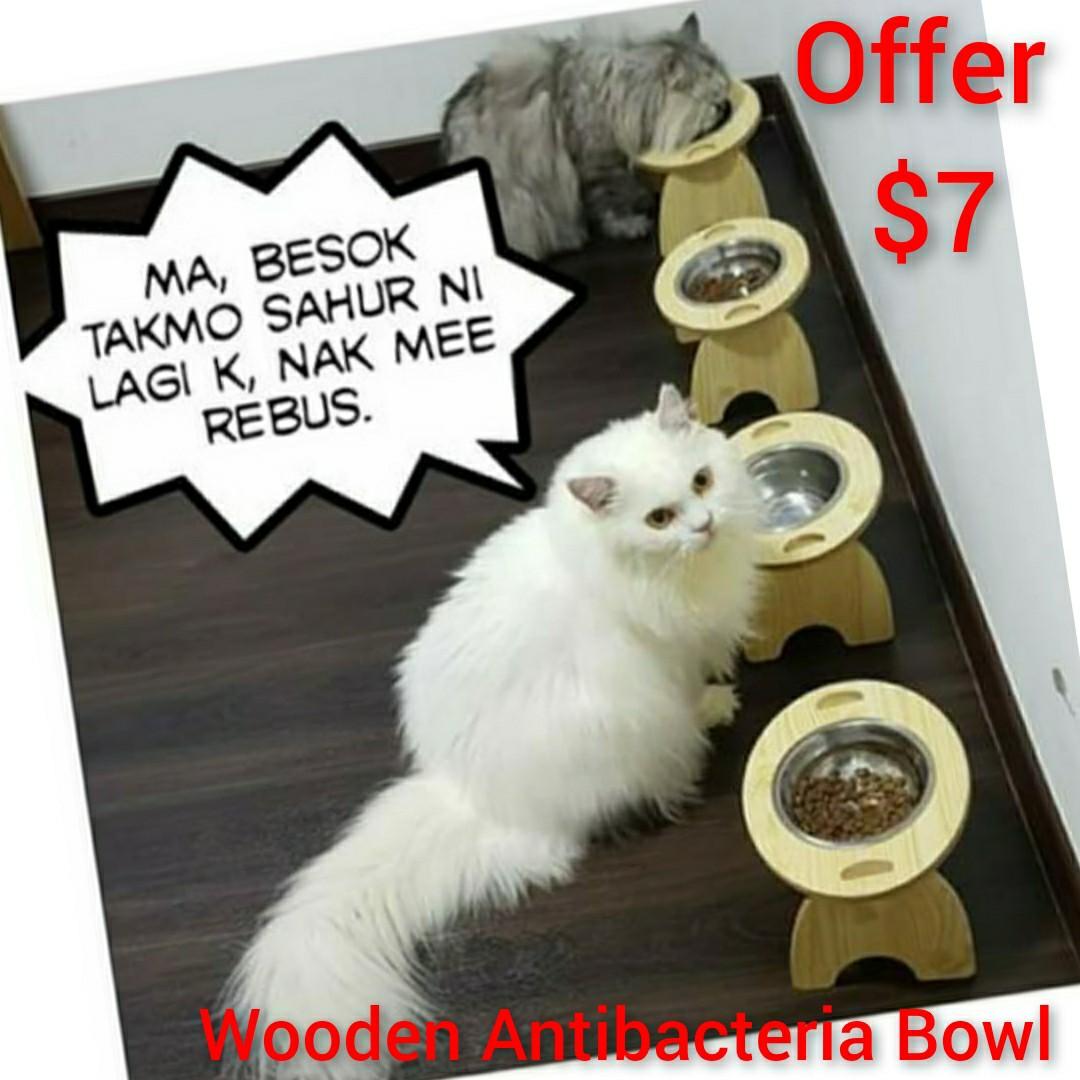 Cat Wooden Single Standee Antibacterial Cat Bowl Food or water can fit